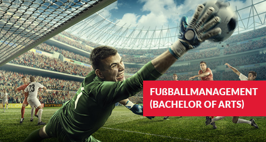 Torwart fängt Fussball in Stadion