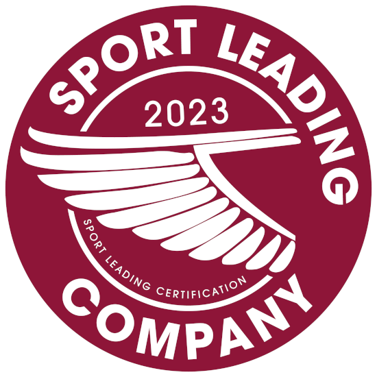 Soccer Analyst Certification online course (Game Analysis)